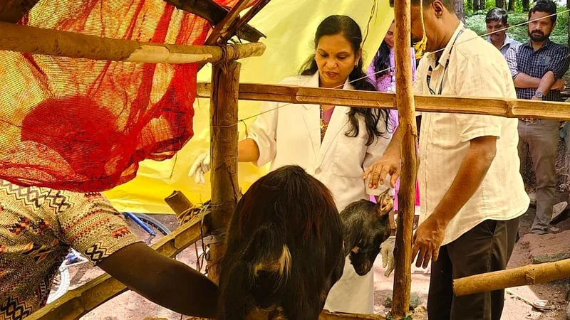Mobile vet unit brings healthcare to tribal livestock in Nilambur