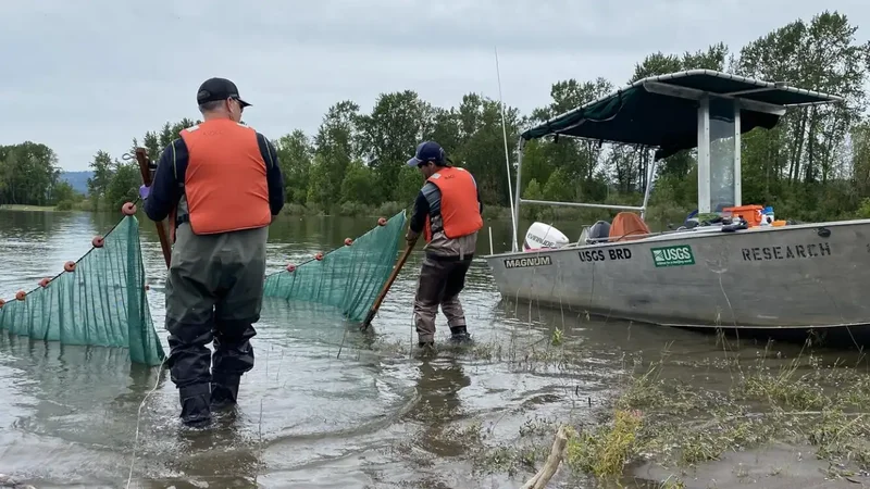 Engineers turned dredged sediment into four new Columbia River islands
