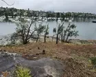 Sydney gardener fined almost $200,000 for removing 287 trees to improve harbourside mansion’s water views