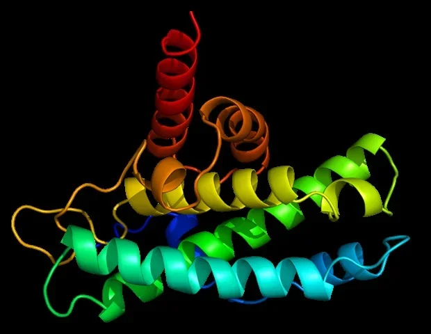Study uses alternative splicing data to predict protein function