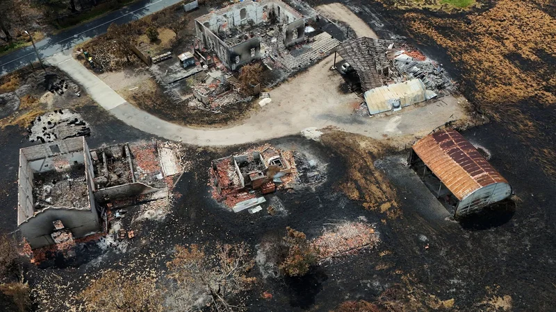 Bomb disposal underway in Le Porge after wildfires unearth WWII shells