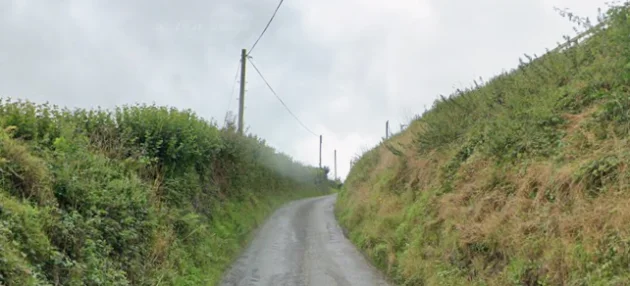 Man (80s) and woman (70s) seriously injured after hit-and-run collision in Co Laois
