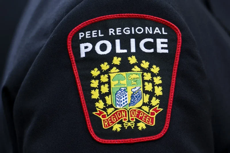 Stolen trucks, computer equipment totaling $800K recovered in Brampton