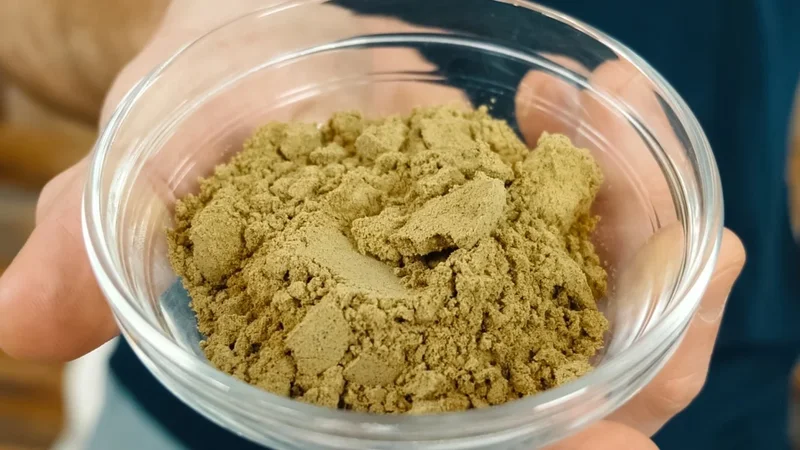Chinese yeast factory boosts cancer drug production speed 1,000 times