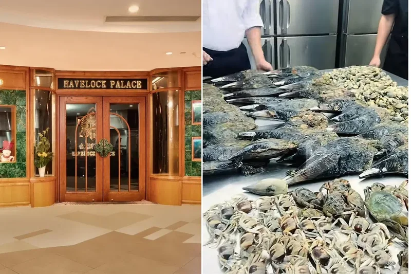 Chinese restaurant Havelock Palace apologises for cooking seafood foraged from Changi Beach