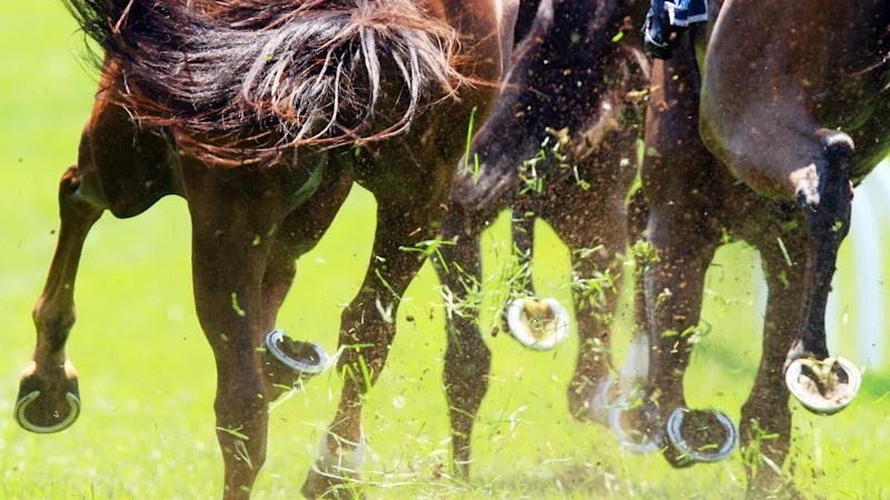 Tips and previews for racing at Canterbury on Wednesday