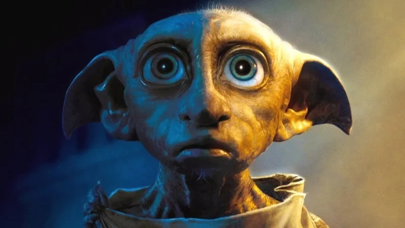 Harry Potter Fan Protest Diverts Power Line Planned to 'Go Straight Through' Dobby's Grave