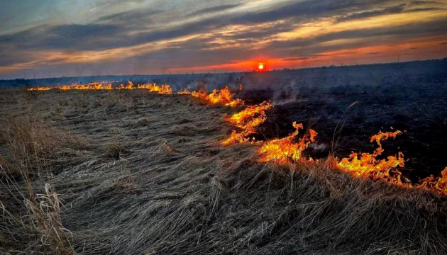 Russian attack causes fire in open area in Kirovohrad region