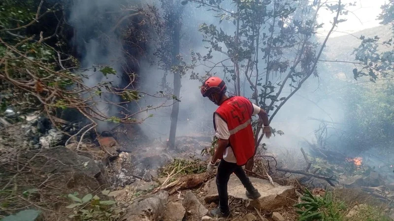 Ecuador intel chief, five Americans killed in Kenya helicopter crash