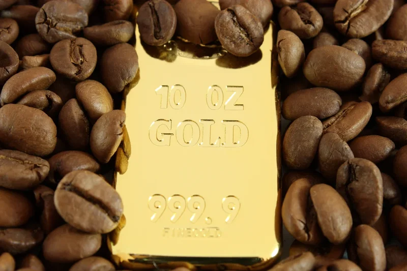 Which commodities can I invest in and how do they make money?