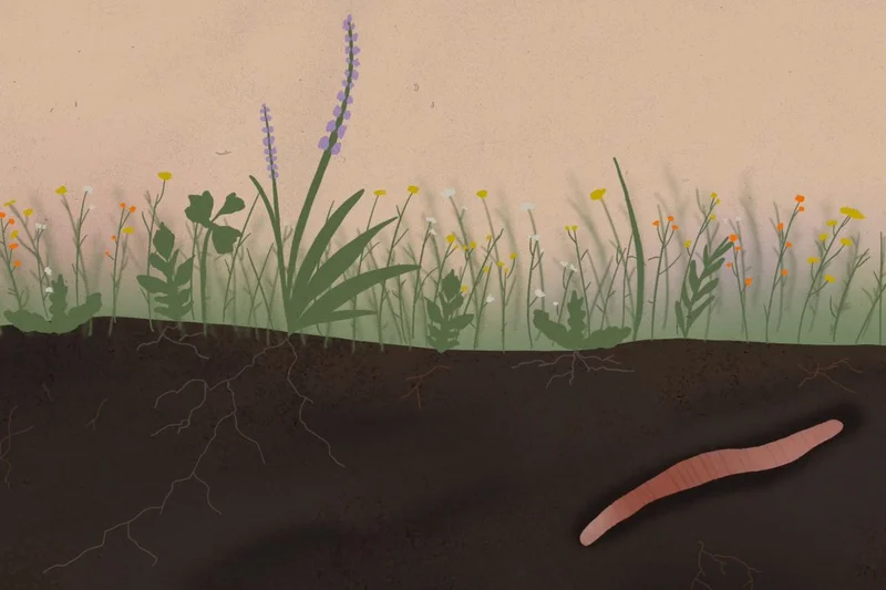 Worm munch matters