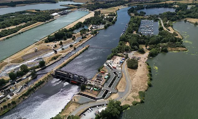More than £130million of taxpayers' money spent on animal crossings - including £12million on unmonitored 'fish motorway'