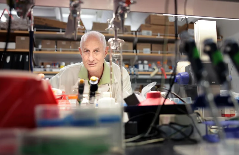 From mice to 'gym rats': Unregulated use of peptides raises alarm among researchers