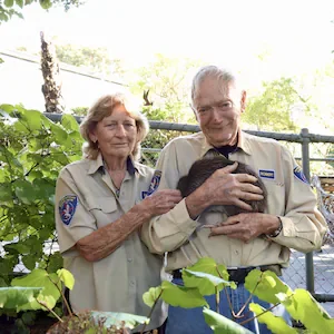 Whangārei bird centre founders step down after more than 30 years of work