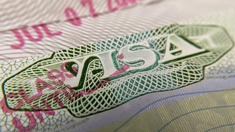 'Contrary to law': US judge strikes down Trump's 75-country visa ban