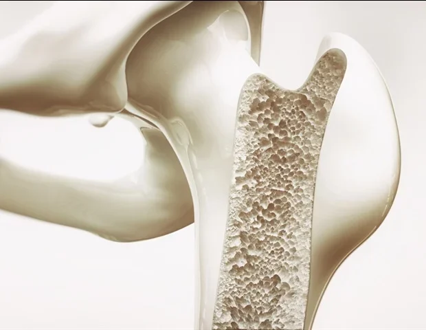 Coral-inspired scaffold enhances bone repair by reprogramming immune cells