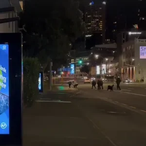 Opening date for Auckland City Rail Link revealed ahead of schedule