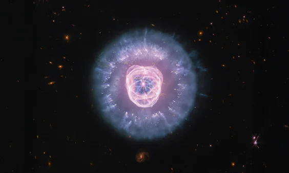 This Lion-Like Nebula Has Cosmic Dust for a Mane and a Dying Star for a Face