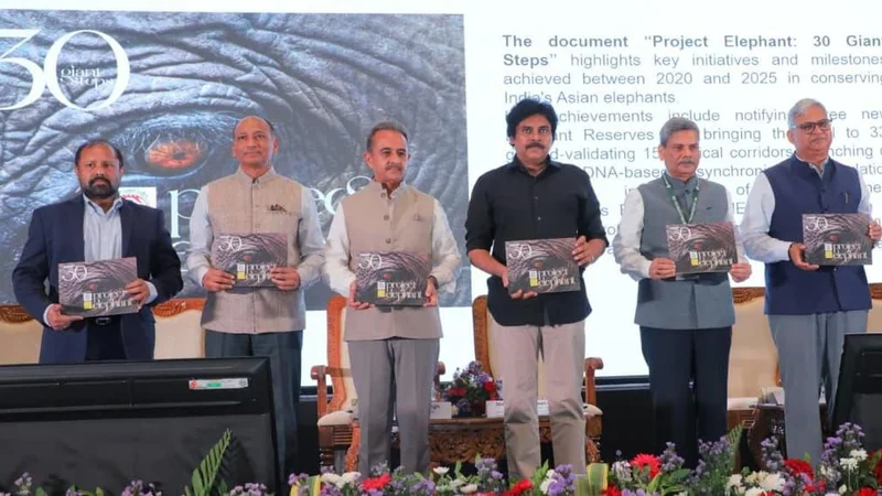 Call for a shift from elephant-human conflict to coexistence