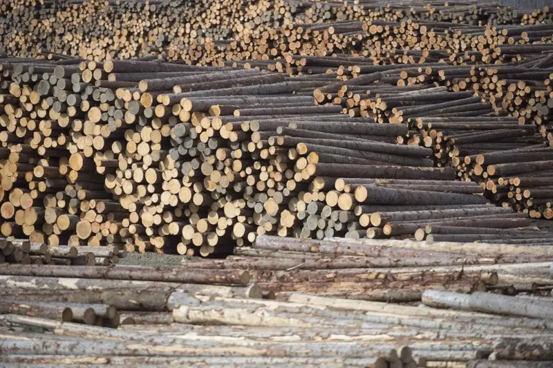 B.C. plywood manufacturer says it cannot absorb 50% tariff cost as deadline looms
