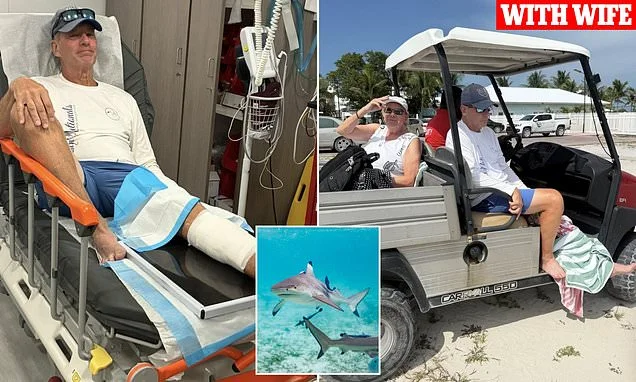 Wife moaned at husband to 'stop fooling around' while swimming with sharks on Bahamas vacation...not realizing that one of the predators was ATTACKING him