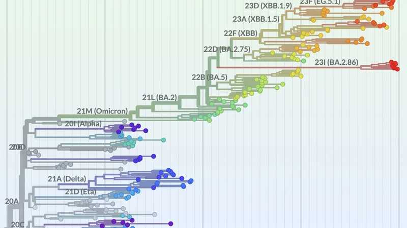 Nextstrain Aims to Boost Tracking of Virus Evolution