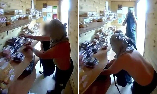 Masked schoolboys are caught raiding honesty box cake shed... before being sent back red-faced with £20 in hand