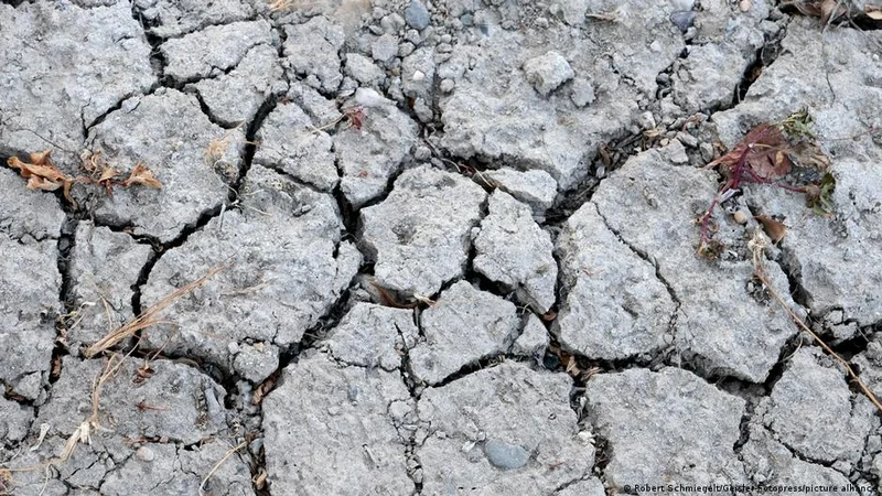 Drought in Germany and Europe are driving up costs