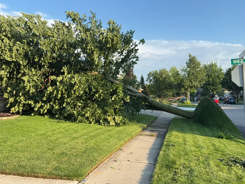 2 tornadoes touch down in southwestern Ontario as storms blow through region