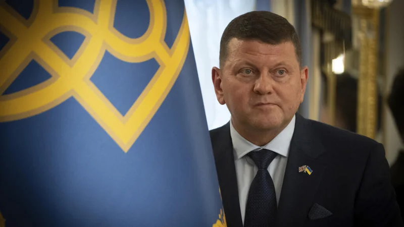 Why has Ukraine's former military chief given up on NATO membership?