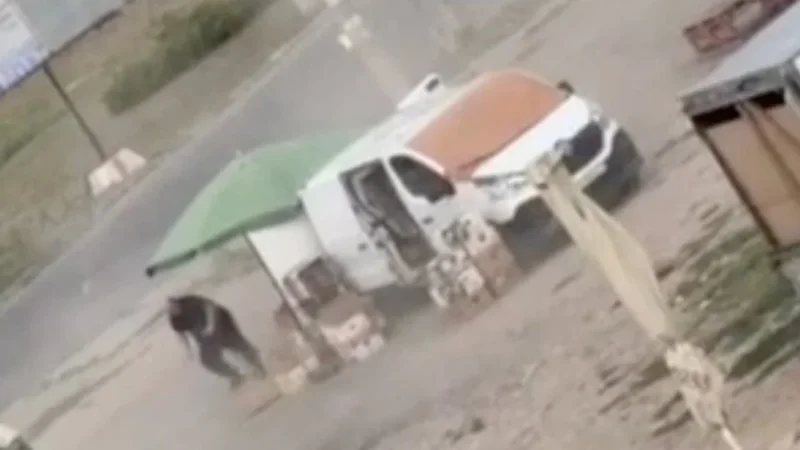 Ukraine slams Russian ‘drone safari’ after video shows vegetable seller being chased down