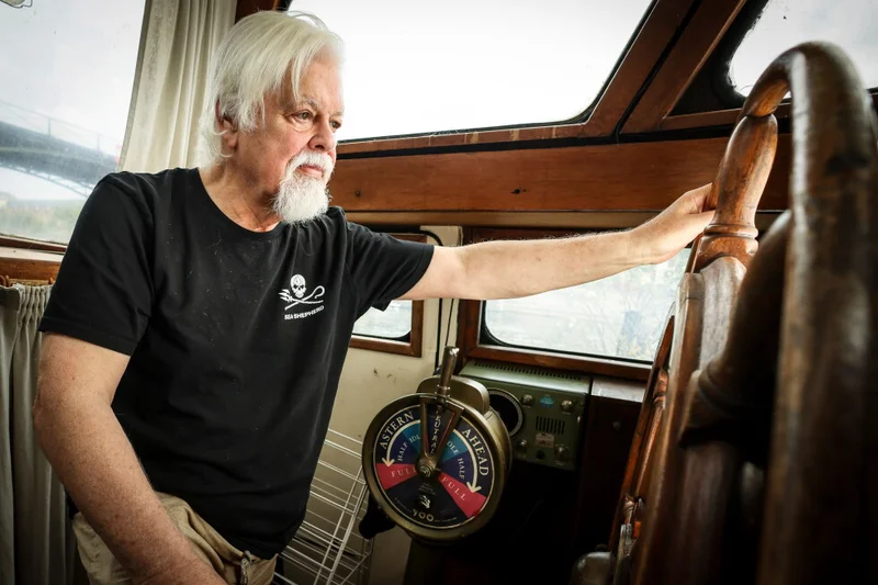 Iceland seizes Paul Watson Foundation’s anti-whaling ship and detains its crew