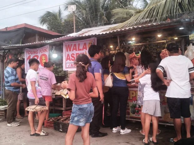 South Cotabato officials: No ASF, no new hog deaths in province