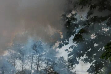 Wildfire breaks out in Limburg, train services halted