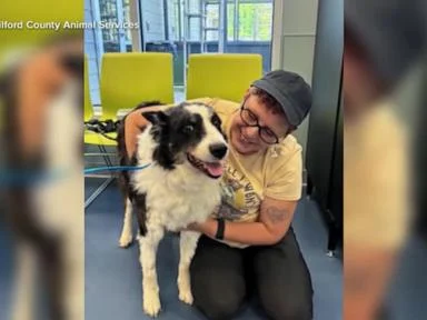 WATCH:  Lost dog reunited with family after 1,000-mile journey