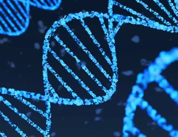 Study reveals evolutionary shift in gene crucial for the human nervous system