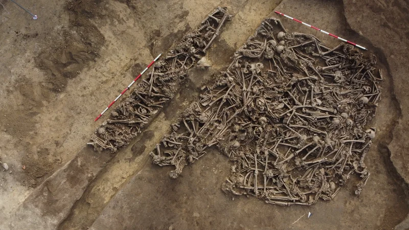 'The lance head was still inside the pelvis:' Mass grave found in Austria may hold casualties of unknown ancient Roman battle