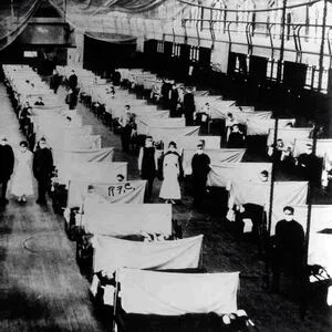 Would you want a flu warning system for your region? – The Front Page
