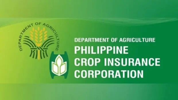 PCIC allots P36m in payouts for farmers affected by flooding