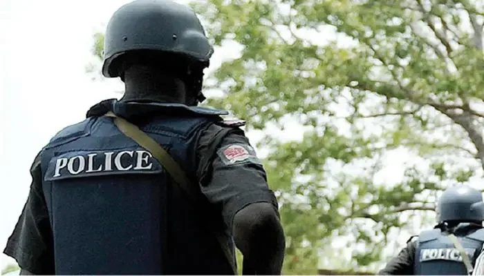 Police arrest woman, nursing officer over alleged abduction of baby in Jigawa