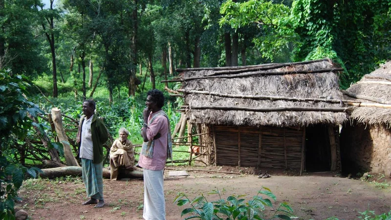 Study cites Soligas of Biligiri as an example against ‘fortress conservation approach’