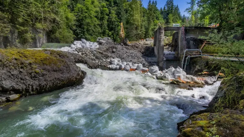 US removed 100 outdated dams, setting a new river restoration record