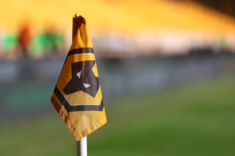 Wolves confirm decision not to play controversial song before games