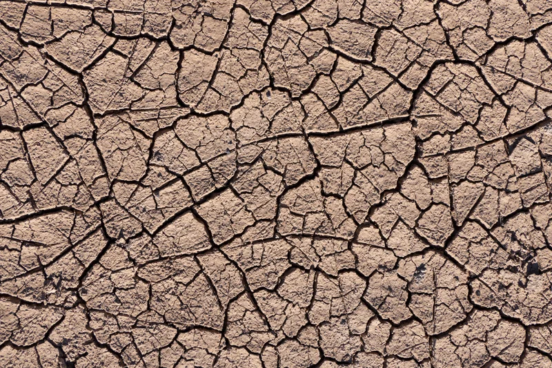 Three Continents, One Harvest: The Soft-Commodity Squeeze Latin America Can’t Ignore