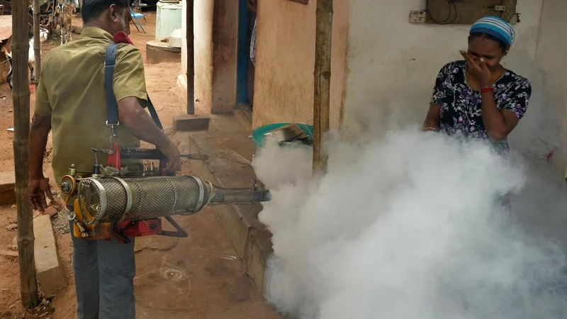 Tiruchi Corporation steps up disease surveillance ahead of monsoon