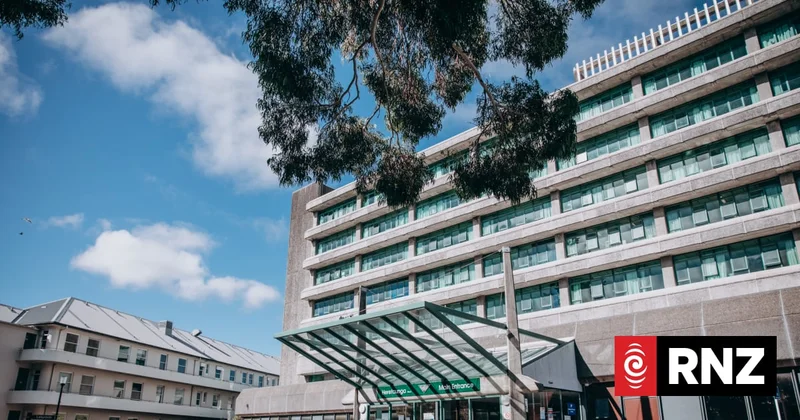 Union files complaint with police watchdog over response to violent mental health patient