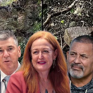 Mount Maunganui campground landslide: Councillors did not read warning report