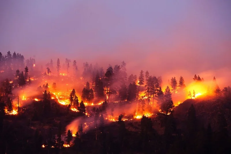 Global Warming Has Kicked Into Overdrive, Scientists Warn