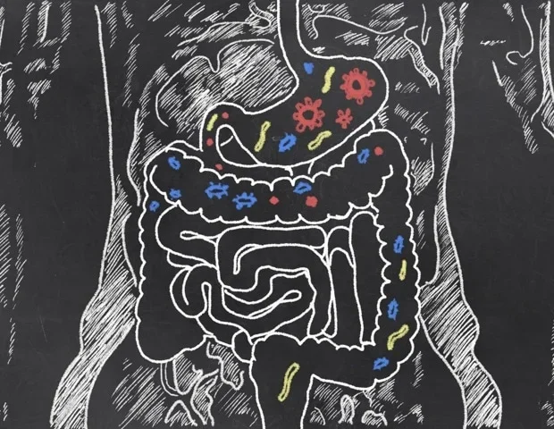 New analytical strategies can measure thousands of gut microbial proteins