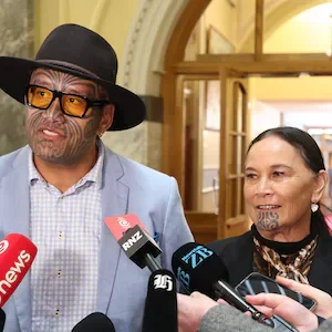 Election 2026: Te Pāti Māori to campaign for candidate vote only